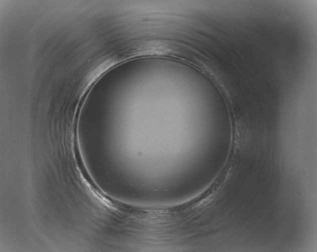 X0000077360802200610201321