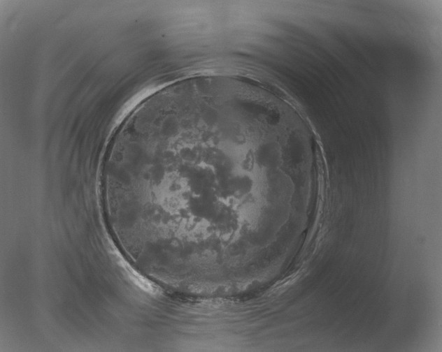 X0000077360803200610201321