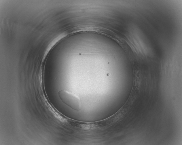 X0000077360804200610201321