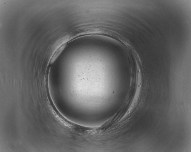 X0000077360805200610201321