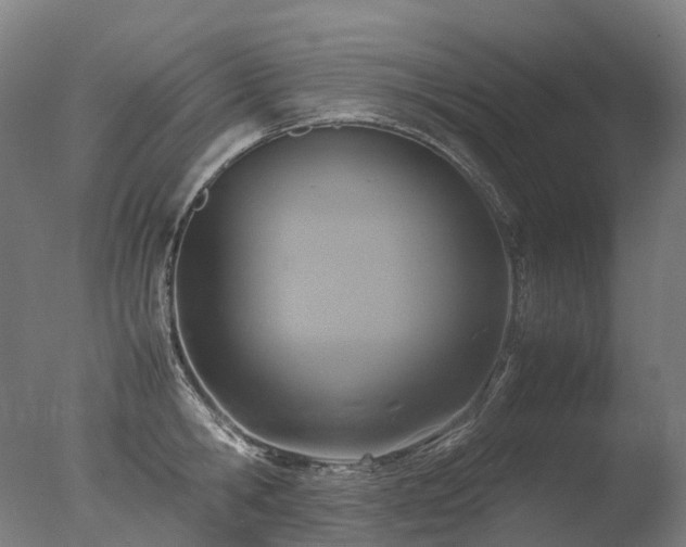 X0000077360806200610201321