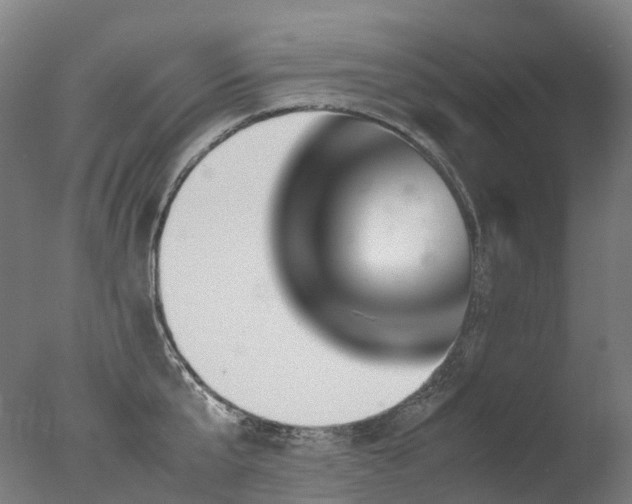 X0000077360807200610201321