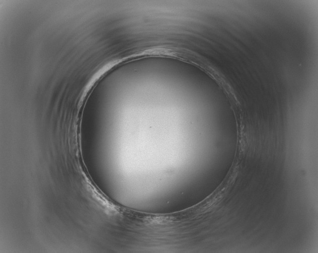 X0000077360808200610201321