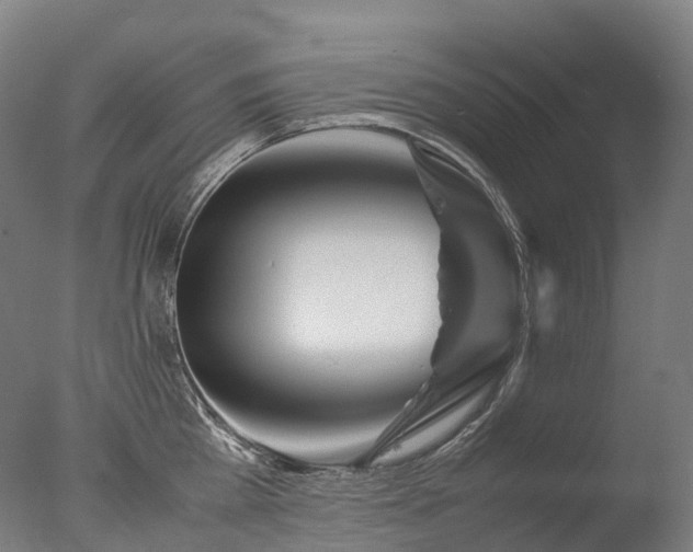 X0000077360809200610201321