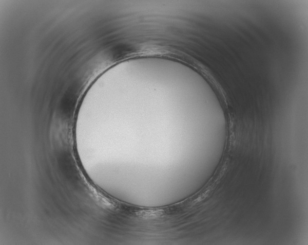 X0000077360810200610201321