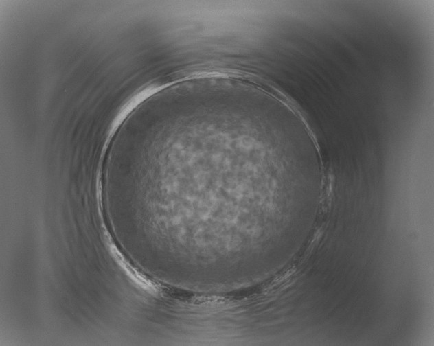 X0000077360811200610201321