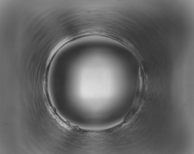 X0000077360812200610201321