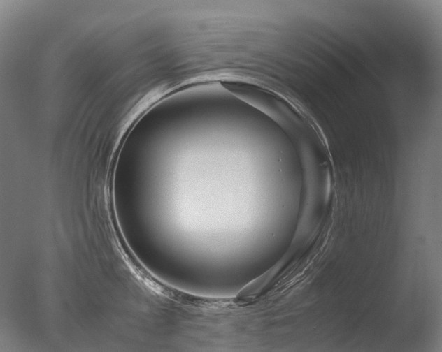 X0000077360813200610201321