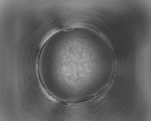 X0000077360814200610201321