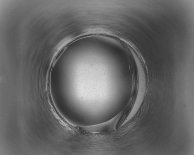 X0000077360815200610201321