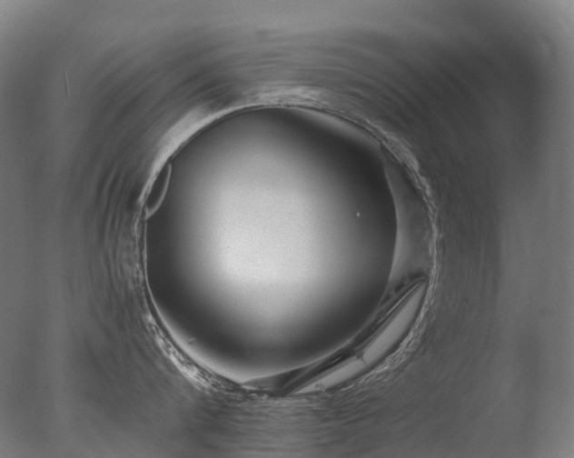 X0000077360816200610201321