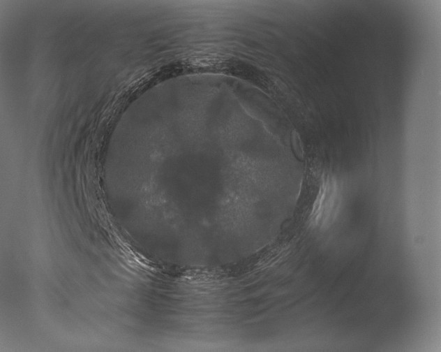 X0000077360817200610201320