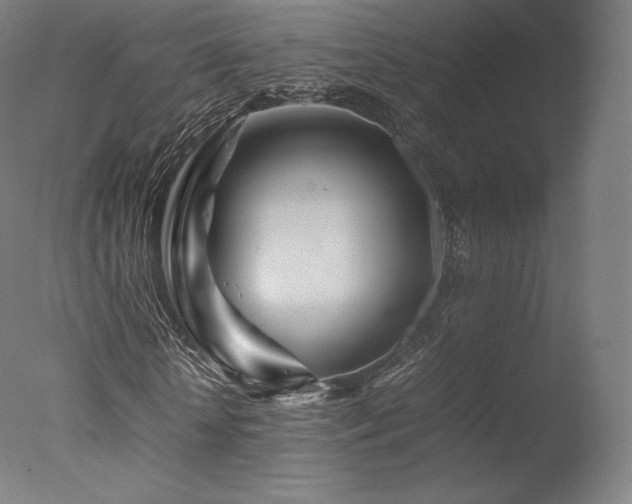 X0000077360818200610201320