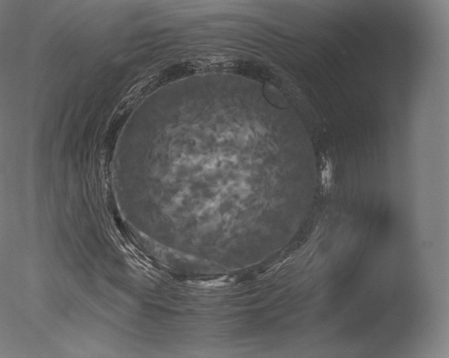 X0000077360819200610201320