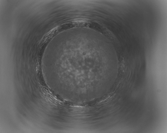 X0000077360821200610201320