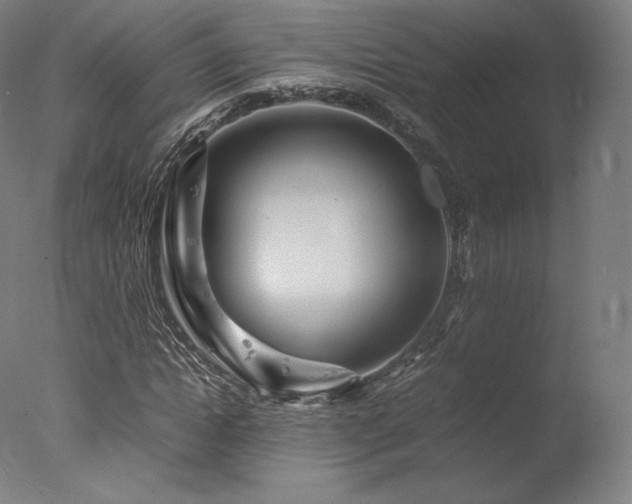 X0000077360822200610201320