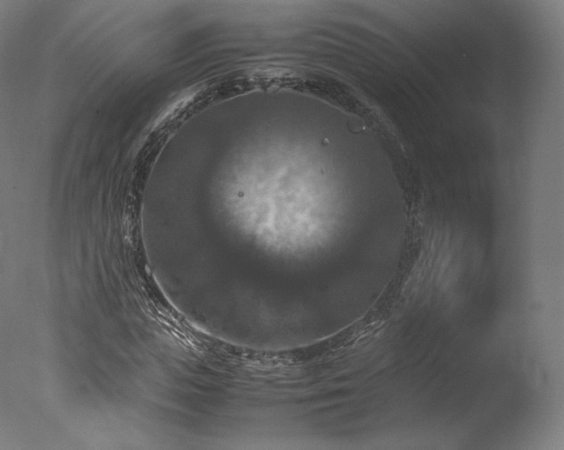 X0000077360823200610201320