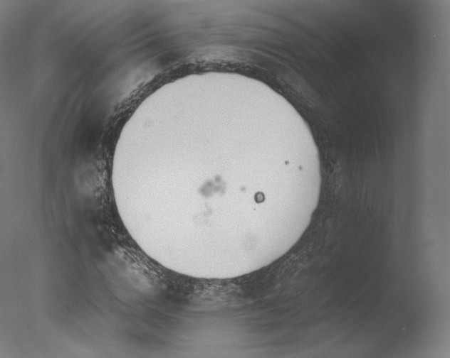 X0000077360824200610201320