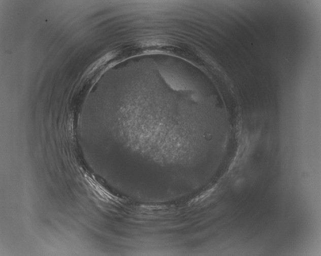 X0000077360825200610201320