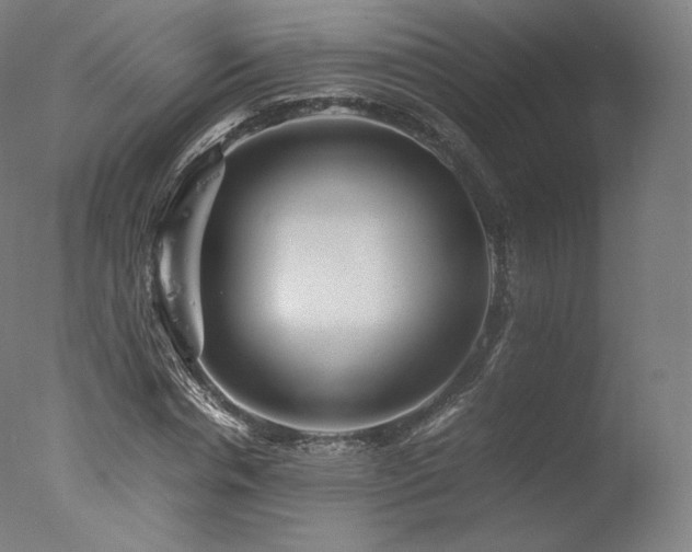 X0000077360826200610201320