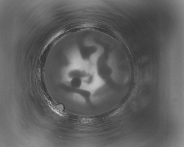 X0000077360827200610201320