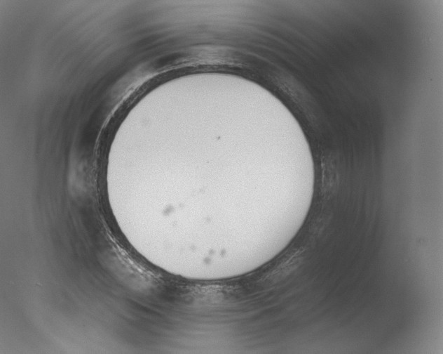 X0000077360828200610201320