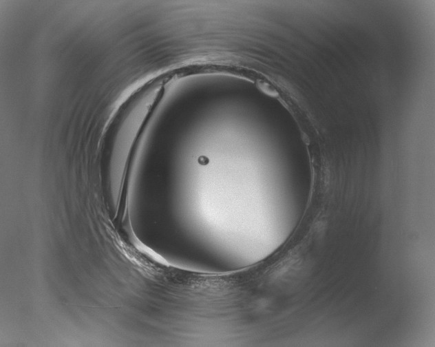 X0000077360830200610201320