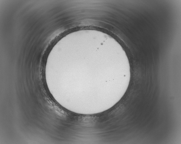 X0000077360832200610201320