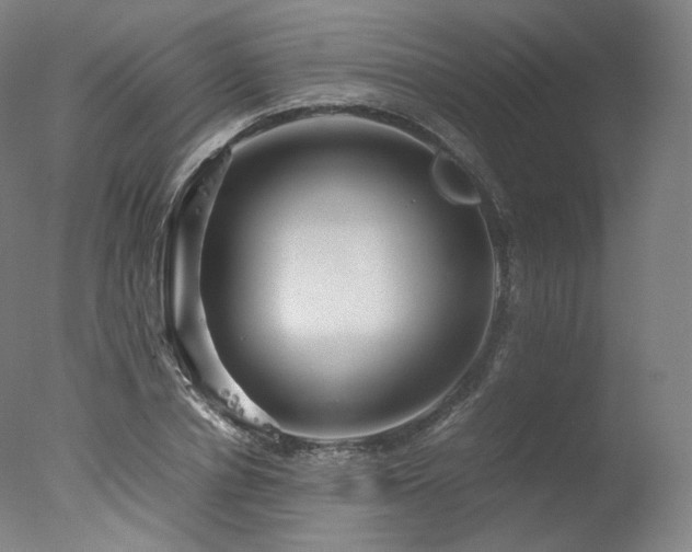 X0000077360834200610201320