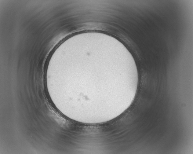 X0000077360836200610201320