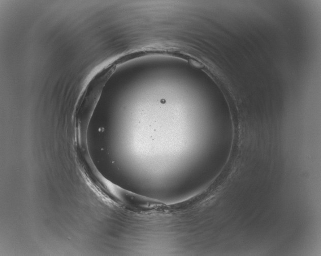 X0000077360838200610201320