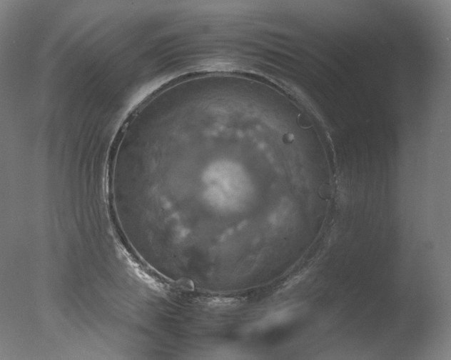 X0000077360839200610201320