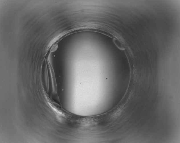 X0000077360842200610201320