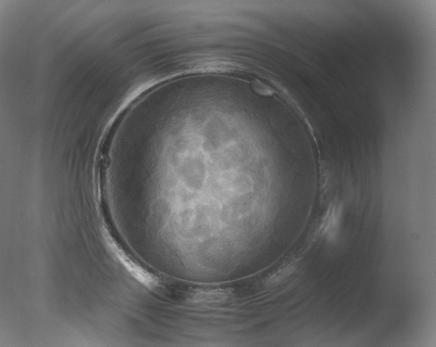 X0000077360843200610201320