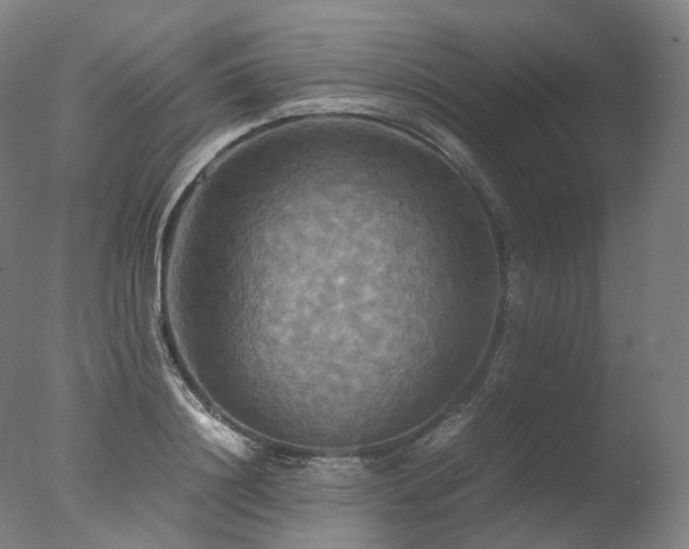 X0000077360844200610201320