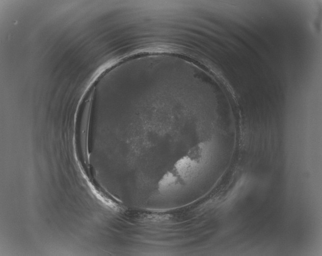 X0000077360845200610201320