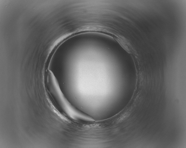 X0000077360846200610201320