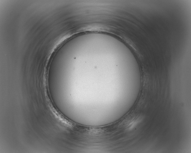 X0000077360848200610201320