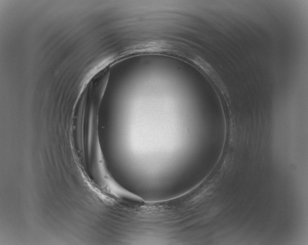 X0000077360850200610201320