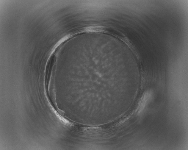 X0000077360853200610201320