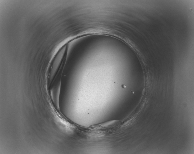 X0000077360854200610201320