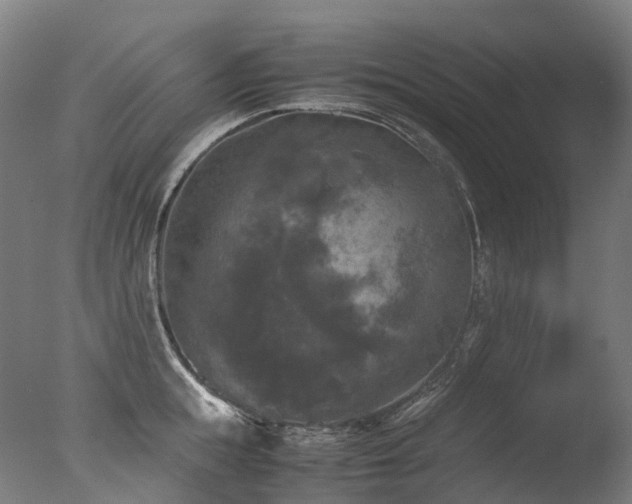 X0000077360855200610201321