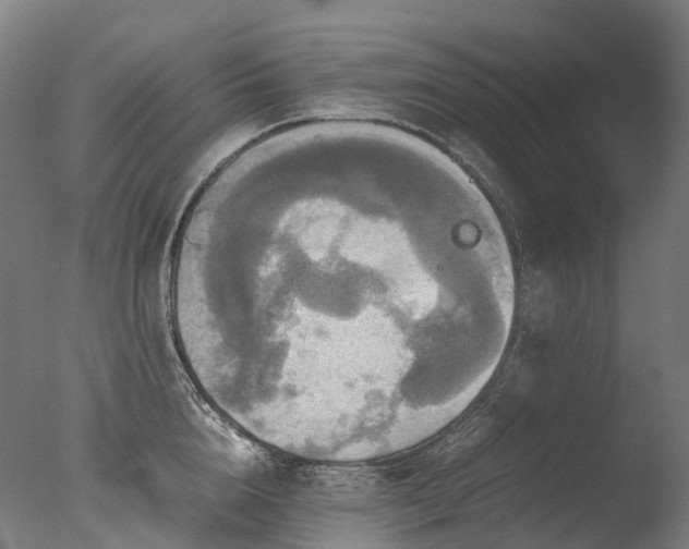 X0000077360856200610201321