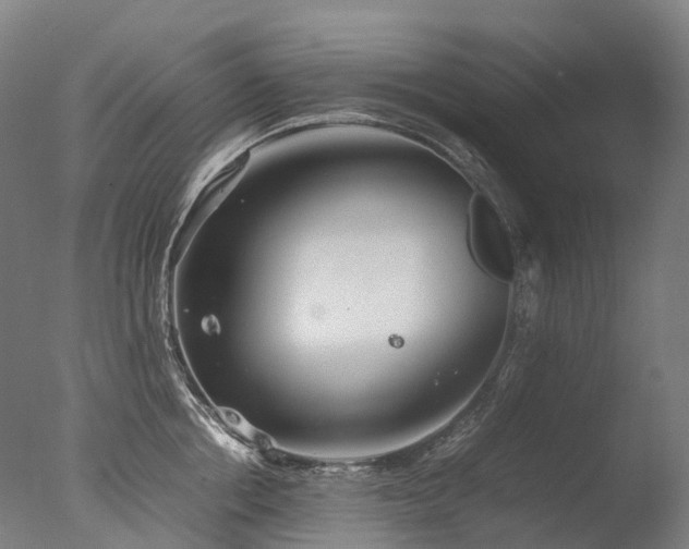 X0000077360858200610201321