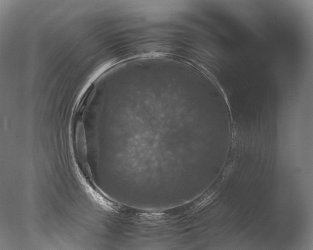 X0000077360859200610201321