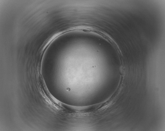 X0000077360860200610201321