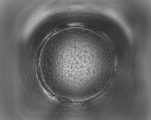 X0000077360861200610201321