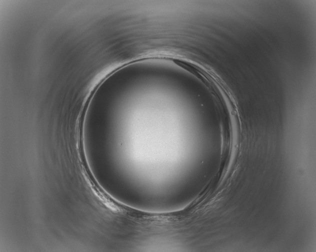 X0000077360862200610201321