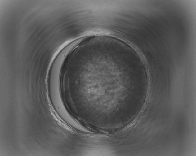 X0000077360864200610201321