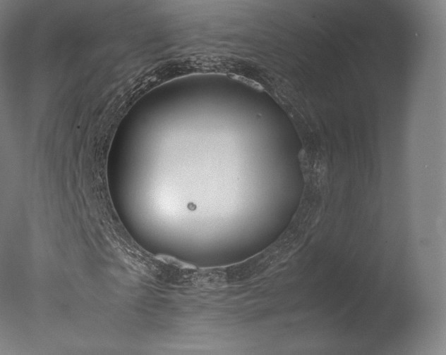 X0000077360865200610201320